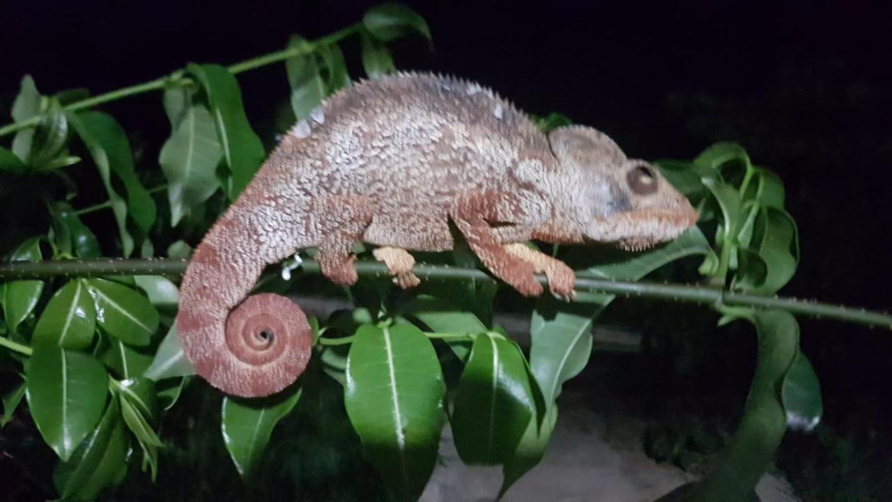 Sanjeela-Plage Coco Antsiranana Exterior foto